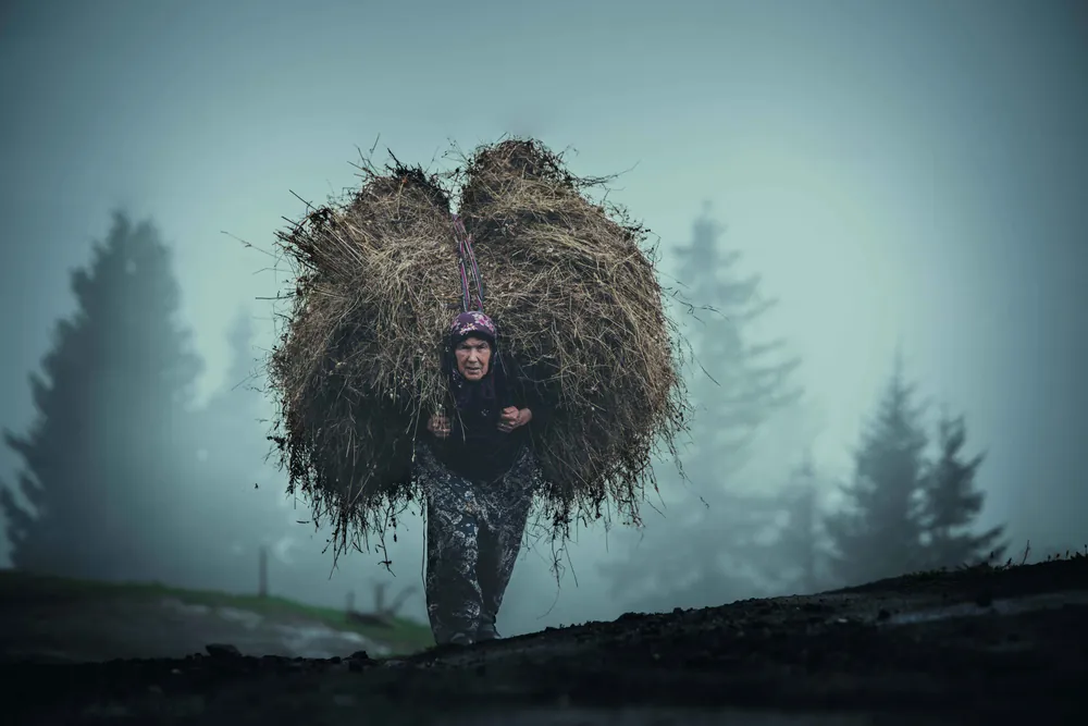 Yarışmanın birincisi Ahmet Harmancı'nın @ahmet_hrmnc eseri oldu