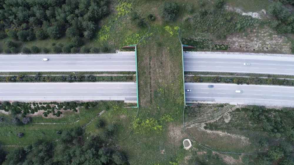 1992'de hizmete açılan İzmir Çeşme Otoyolu, 77 kilometre uzunluğunda