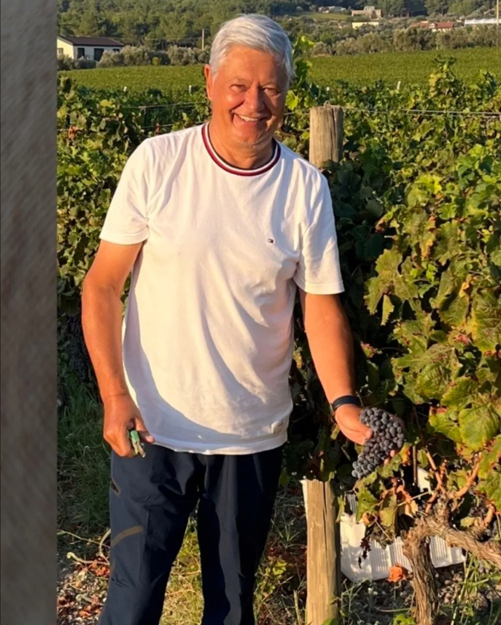 Deniz Barçın, Urla'da şaraplık üzüm ve zeytin tarımı ile ilgileniyor