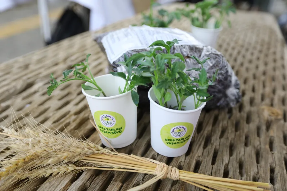 Efes Selçuk Belediyesi'nin kampanyası dört bir yanda filizleniyor