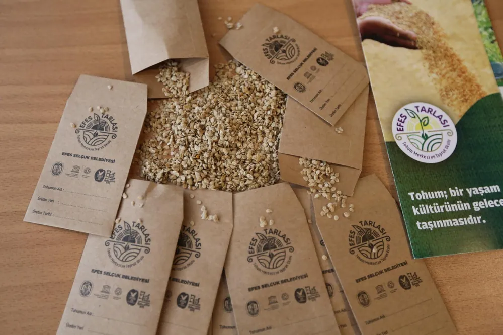 "Tüm Türkiye Eksin" kampanyasında yerel tohumların dağıtımı tamamlandı