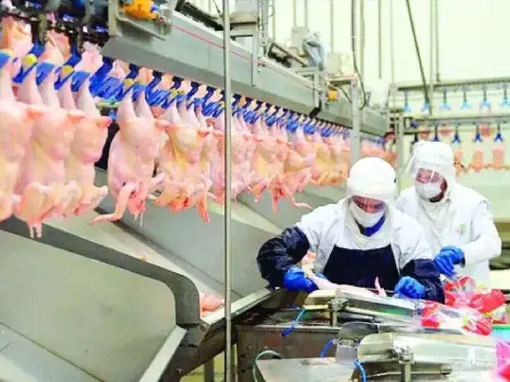 Ege'nin beyaz et devi 4 firmasına Rekabet cezası