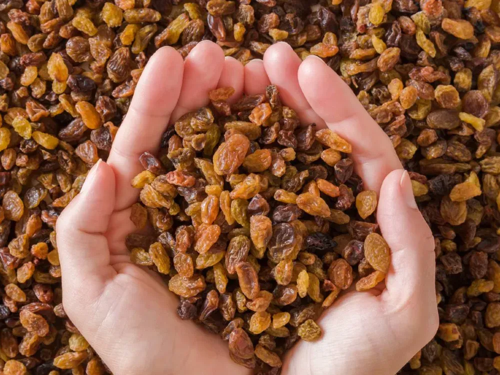 Kuru üzümde TMO devreye girdi