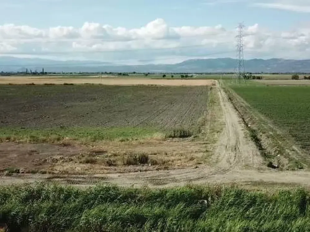 İzmir’in 123 hektarlık dev tarım bölgesi yola çıkıyor