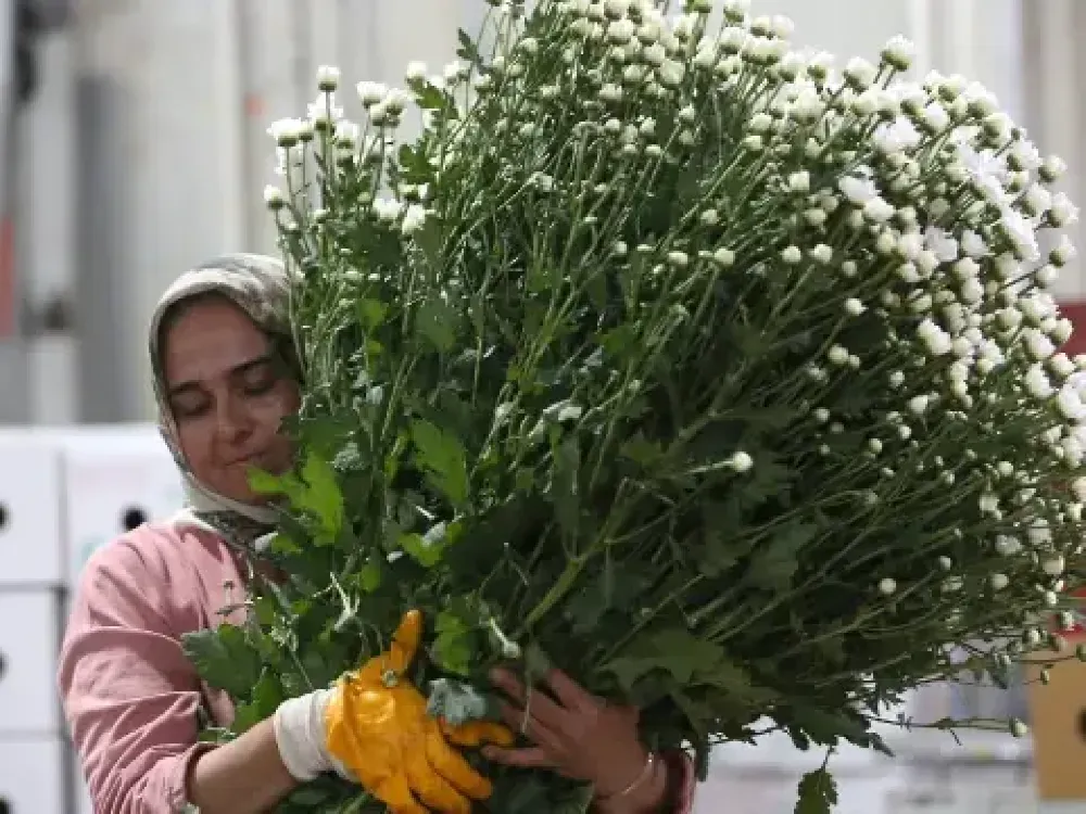 Süs bitkileri sektörü dokuz soruna çözüm için İzmir'de buluştu