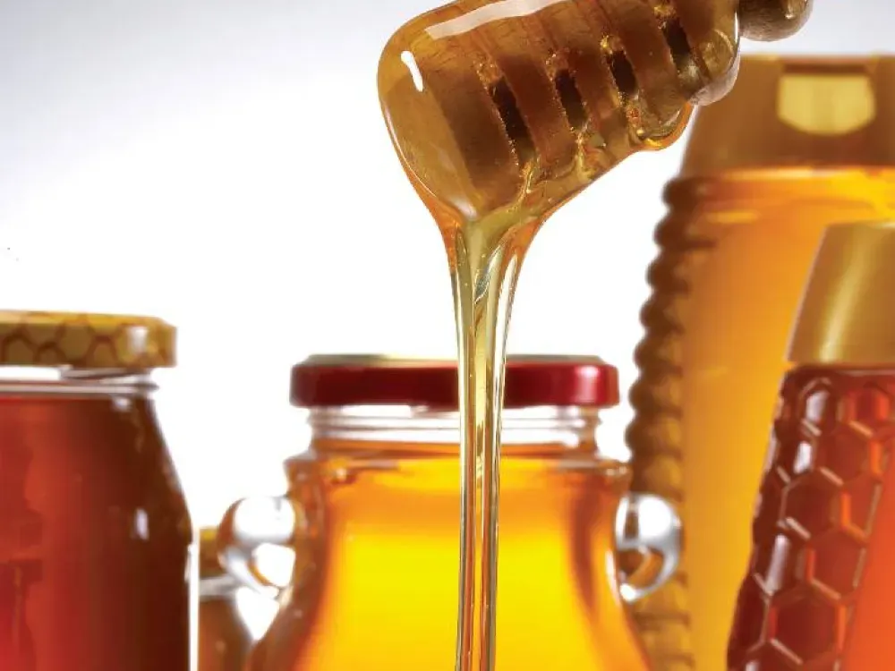 Çam balına Ar-Ge projesi: Hedef 250 milyon dolar ihracat