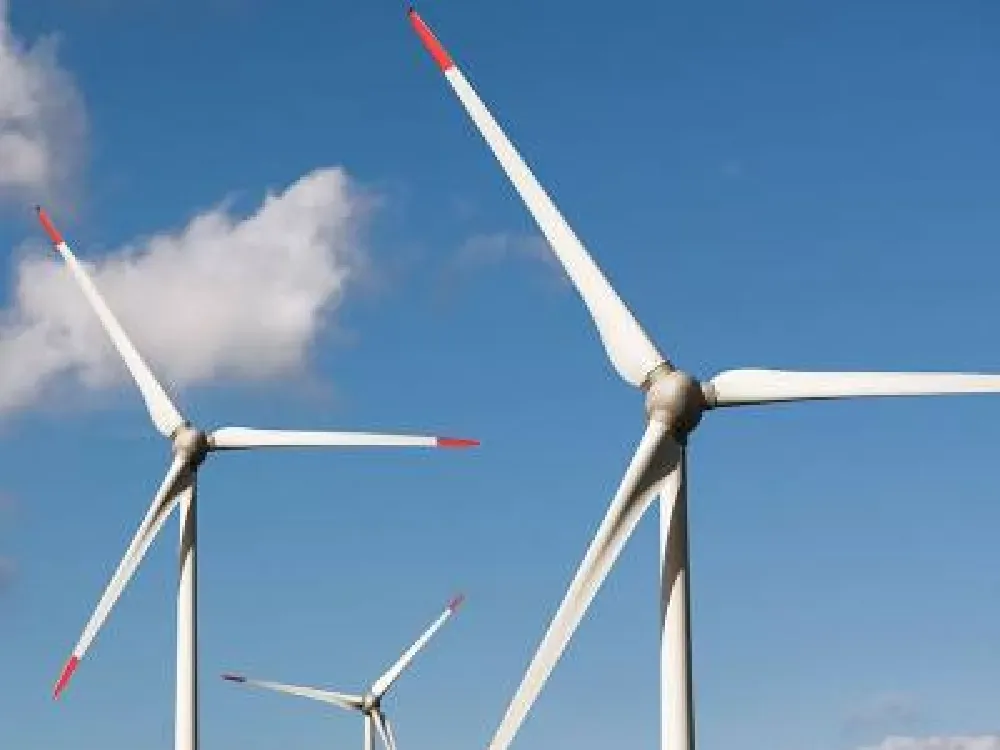 Rüzgarda milyar dolarlık dev yarışmaya Egeliler de katılacak