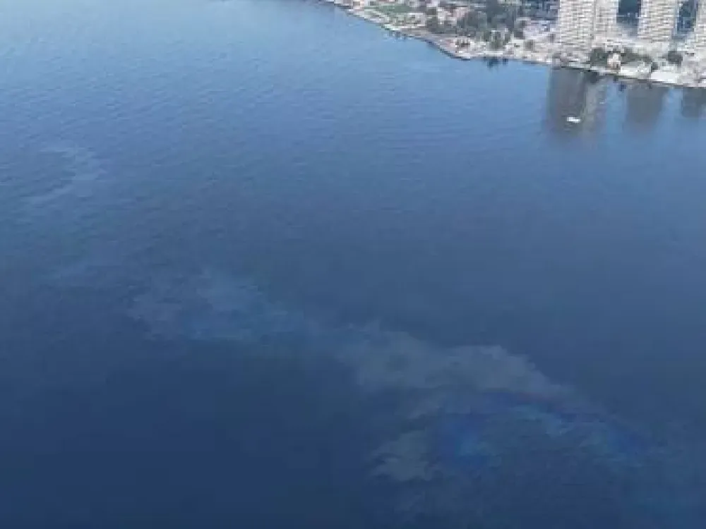 Körfezde kirliliğin gölgesinde atık ihalesi şaşkınlık yarattı