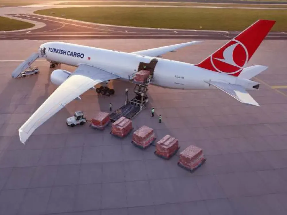 İzmir'deki odalar havalimanındaki kargo krizine neşteri vurdu