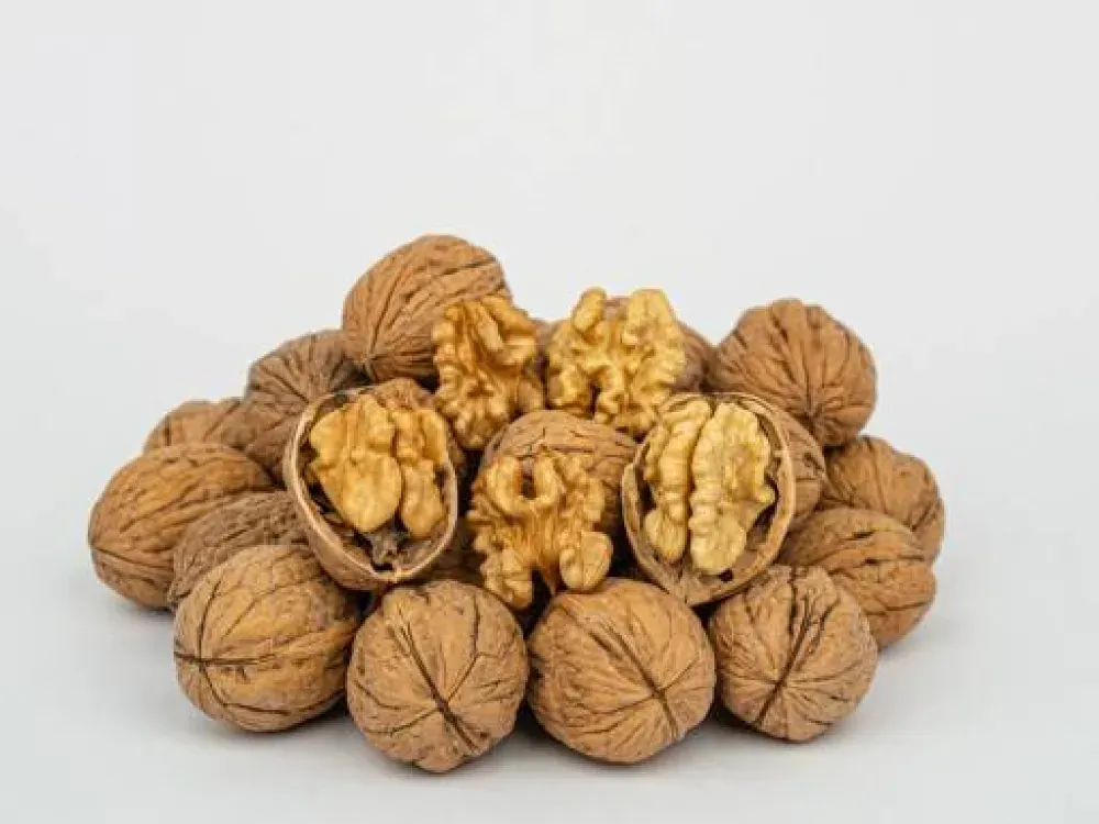 Cevizin ana vatanı Denizli oldu