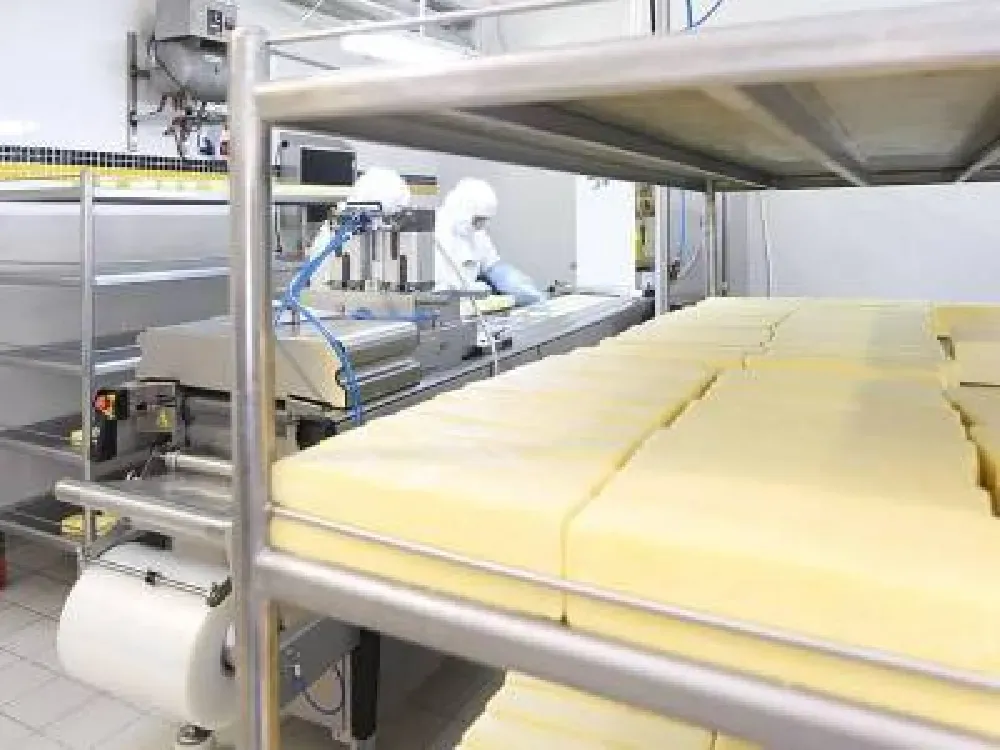 Sütte krize rağmen peynir fabrikasını altı kat büyütecek