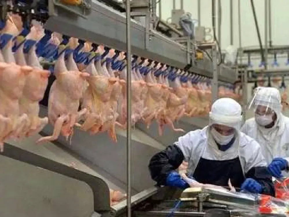 Ticarette savaş hali: Gıdada birçok ürünün ihracatı kısıtlandı