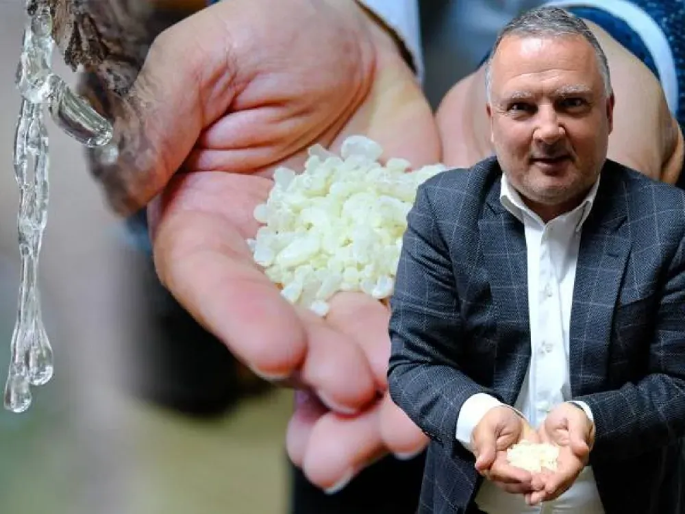 Çeşme’nin damla sakızı komşudaki üreticiyi kıskandırdı