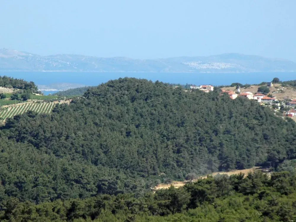 Urla'da bir ballı imar daha... Doğal koruma alanına 85 villa!