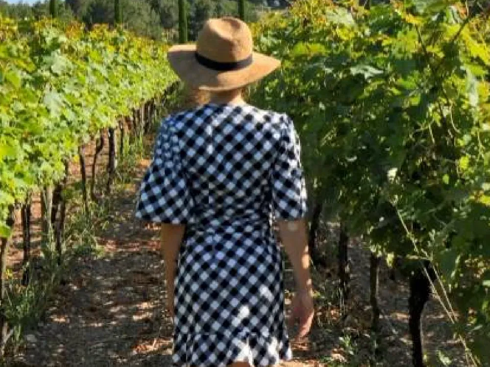 İzmir bağcılık mirasını koruyan Iter Vitis Rotası’na katıldı