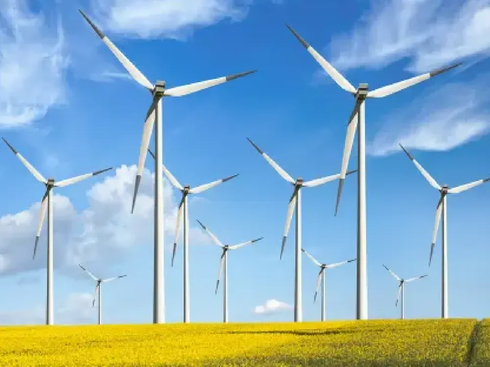 Rüzgârda milyarlık yarış bu hafta… Devlerin yarışında Ege kazanacak