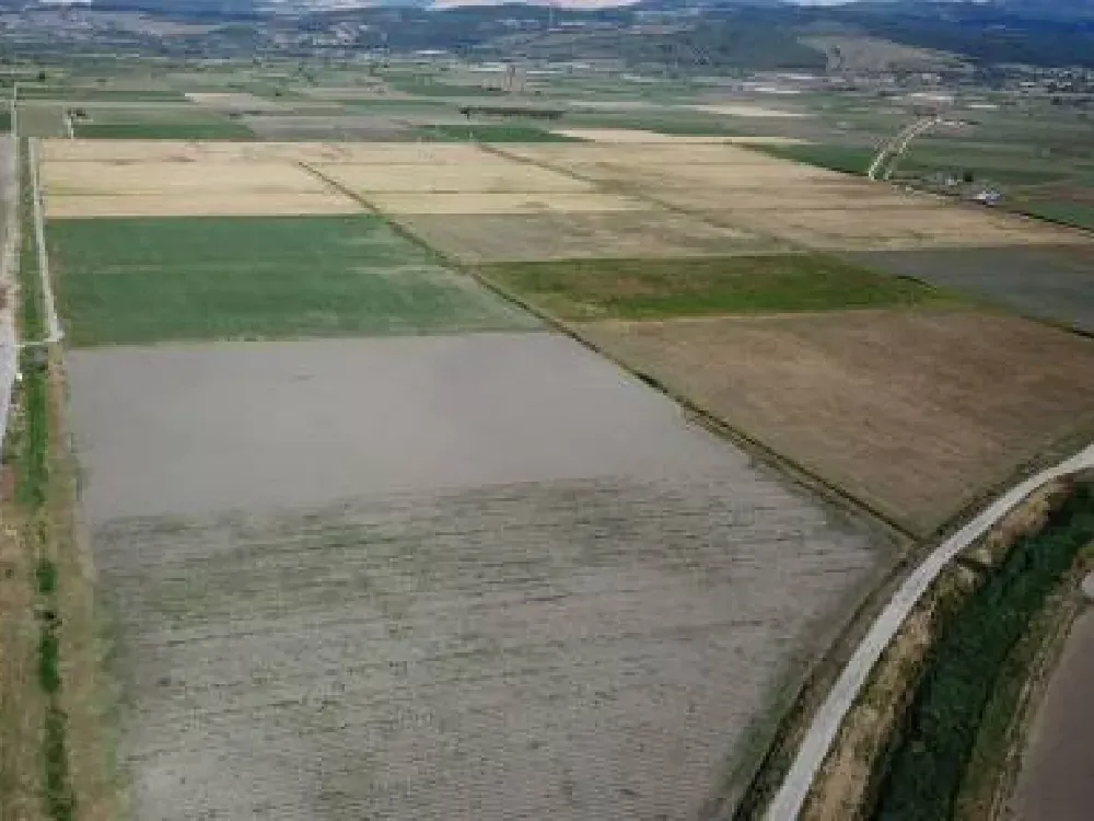 Türkiye'nin ilk tıbbi ve aromatik bitkileri bölgesinde ihale tamam 