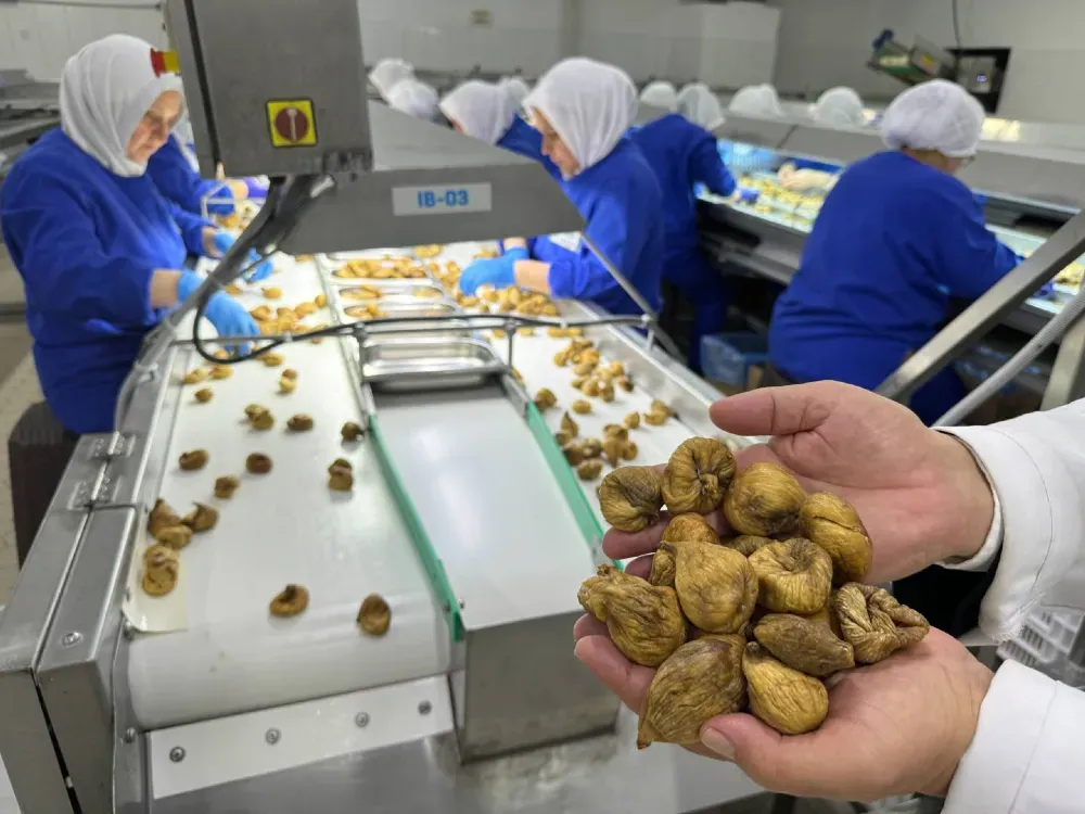 İhracatçıdan Bakanlığa çağrı: Yükü tek başına taşıyamayız!